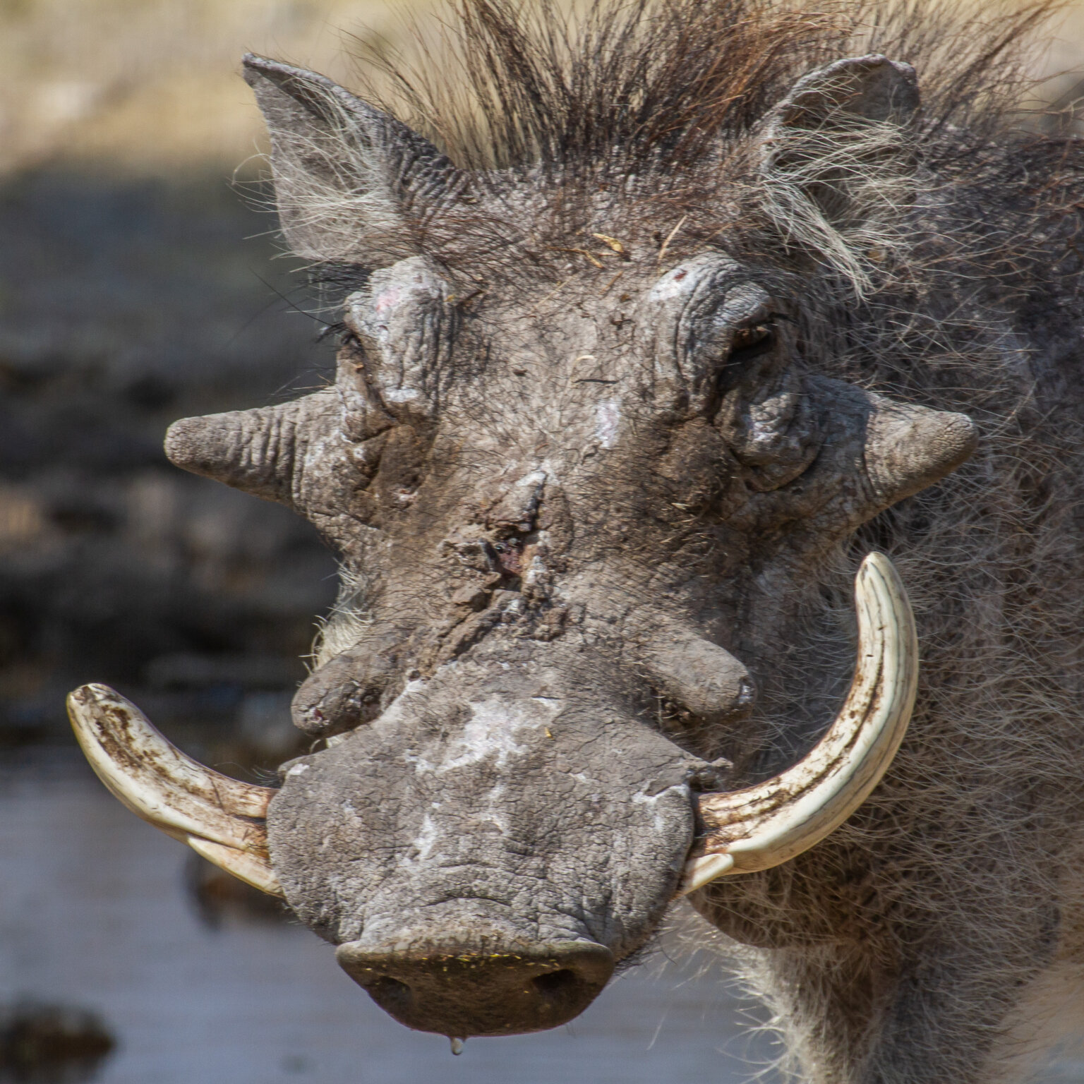 Namibia _ Foto Ute von Ludwiger -9