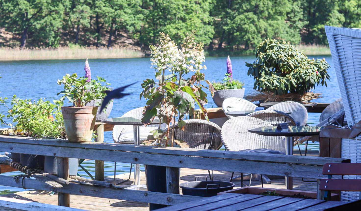 Café Bootsverleih Schlachtensee-15