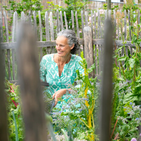 Albererhof Rpeortage