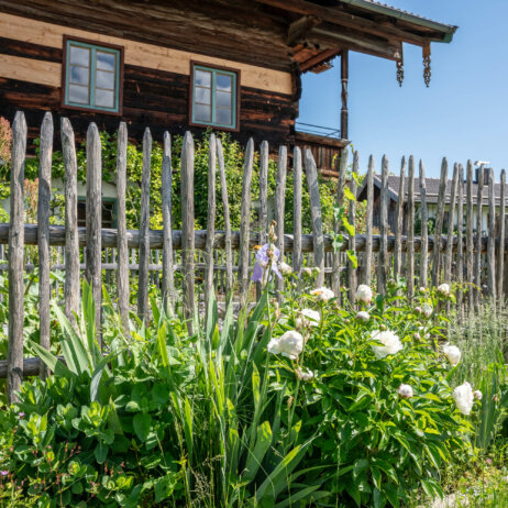 Albererhof Rpeortage