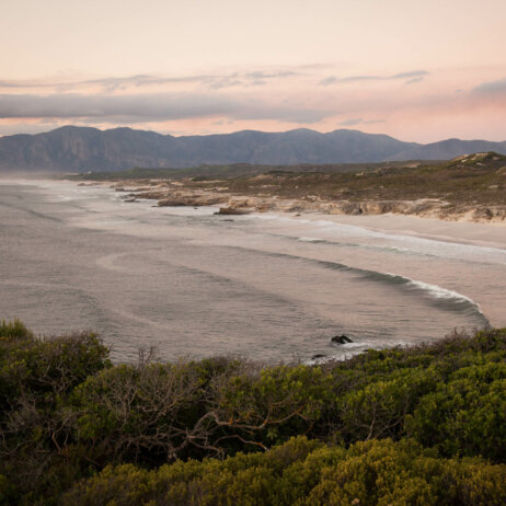 Grootbos-13