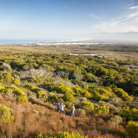 Grootbos-6