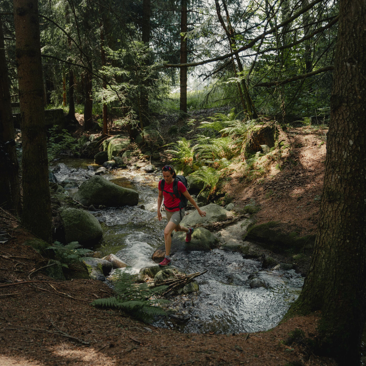 Milla Montis ©Upscale (7)