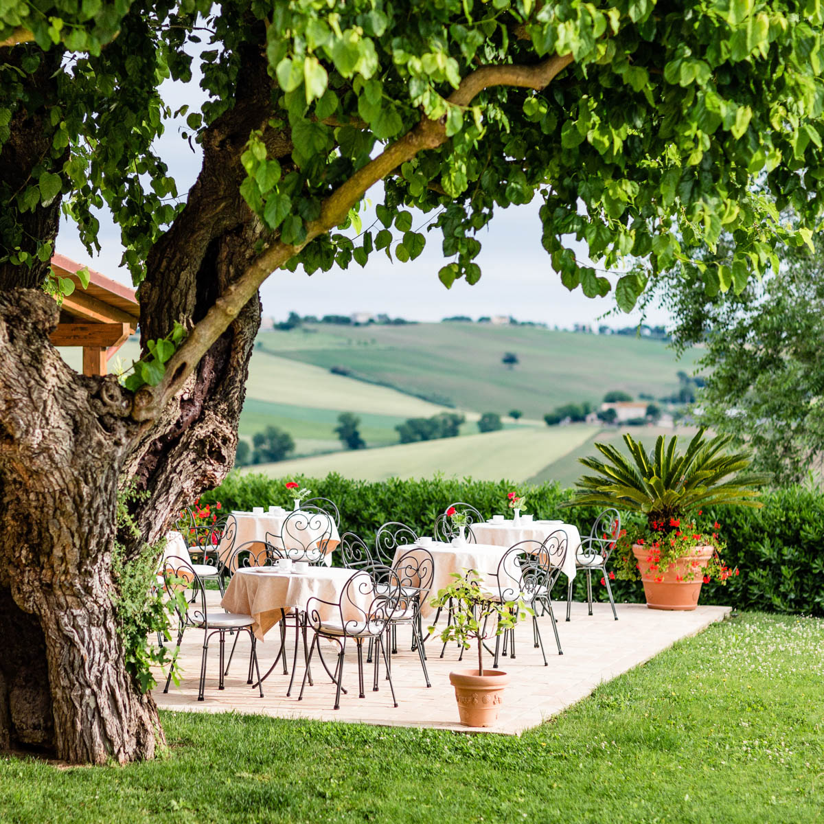 Poggio Antico Italien