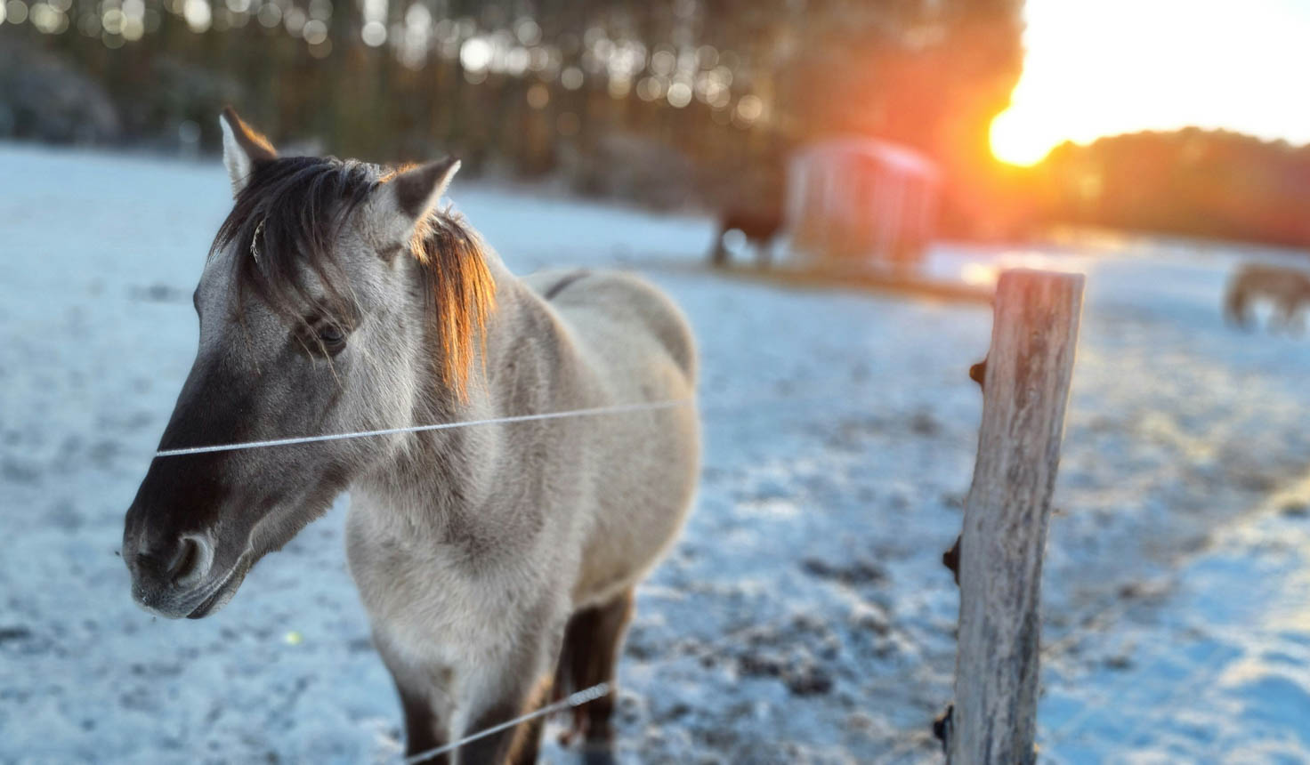 Wildpark Schorfheide Wildpark Schorfheide