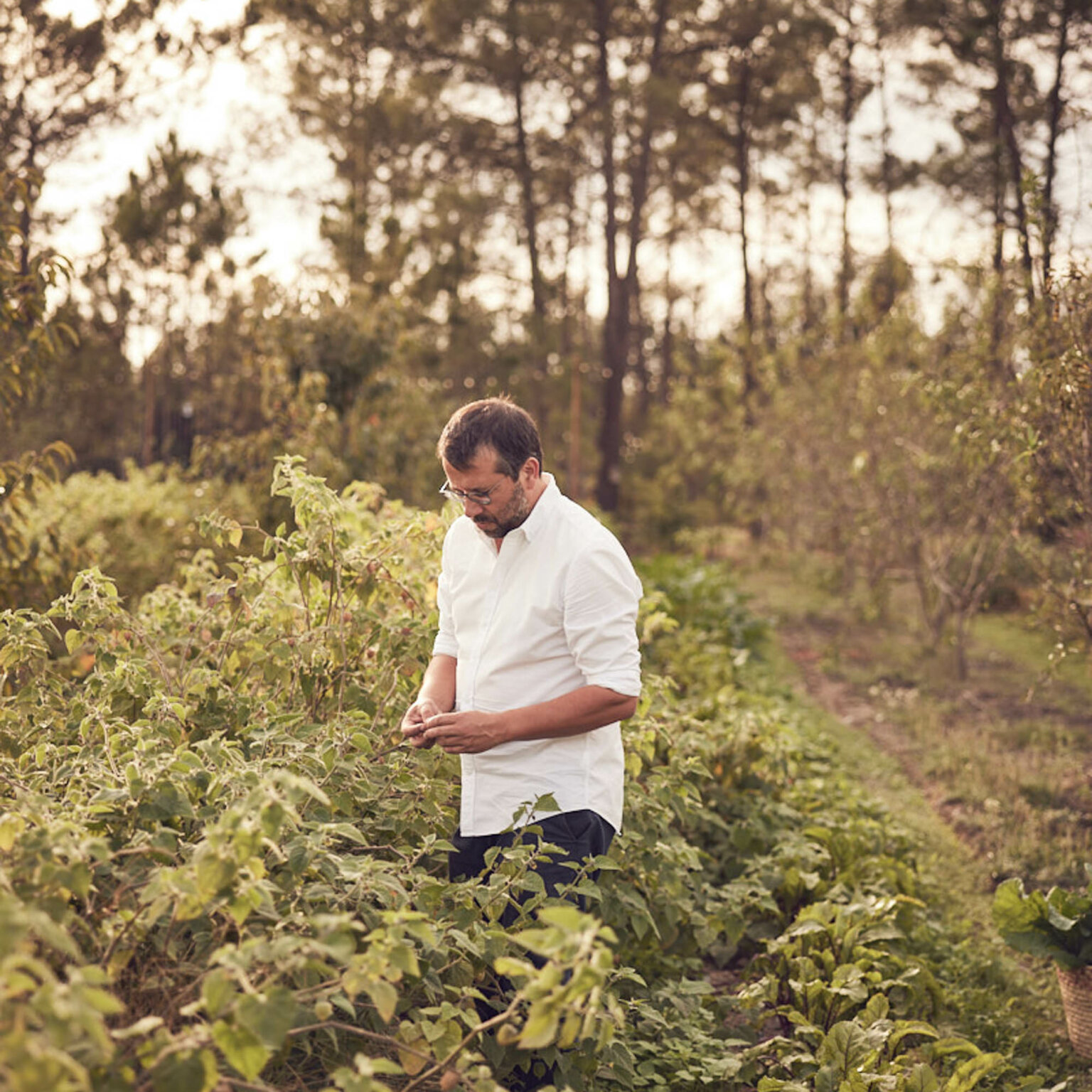 Craveiral Farmhouse-40