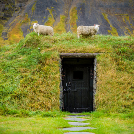 Deplar Farm Island-29