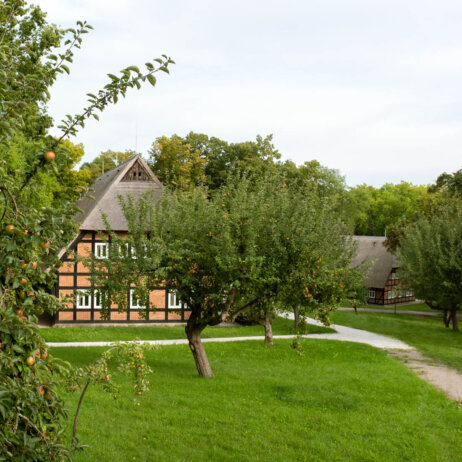 Park am See Nattika Ayurveda Retreat-19