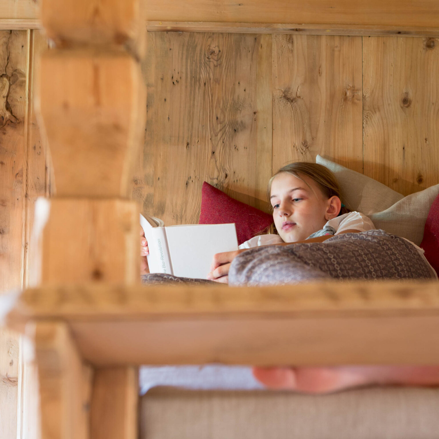 Chalet Hafling Leckplått -37