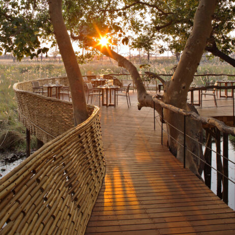 Sandibe Okavango Safari Lodge _ &Beyond-10