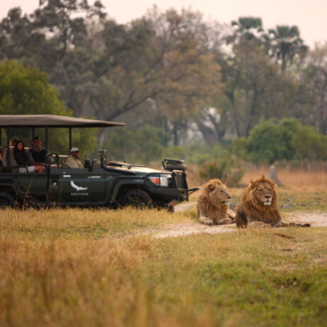 Sandibe Okavango Safari Lodge _ &Beyond-29