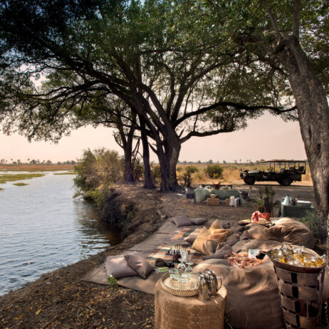 Sandibe Okavango Safari Lodge _ &Beyond-4