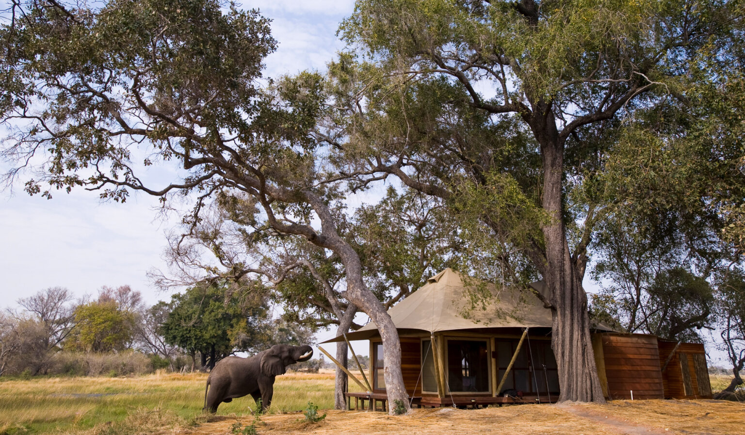 Xaranna Okavango Delta Camp _ &Beyond-2