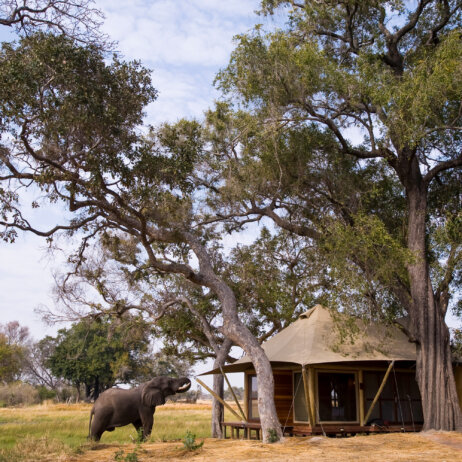 Xaranna Okavango Delta Camp _ &Beyond-3