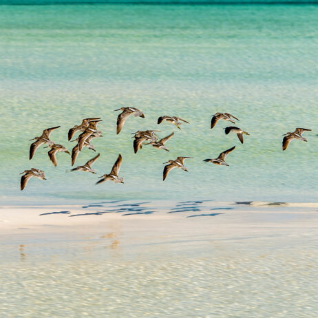 Eleven Bahama House-65