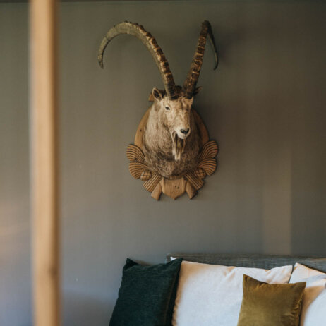 Daum - my mountain hideaway