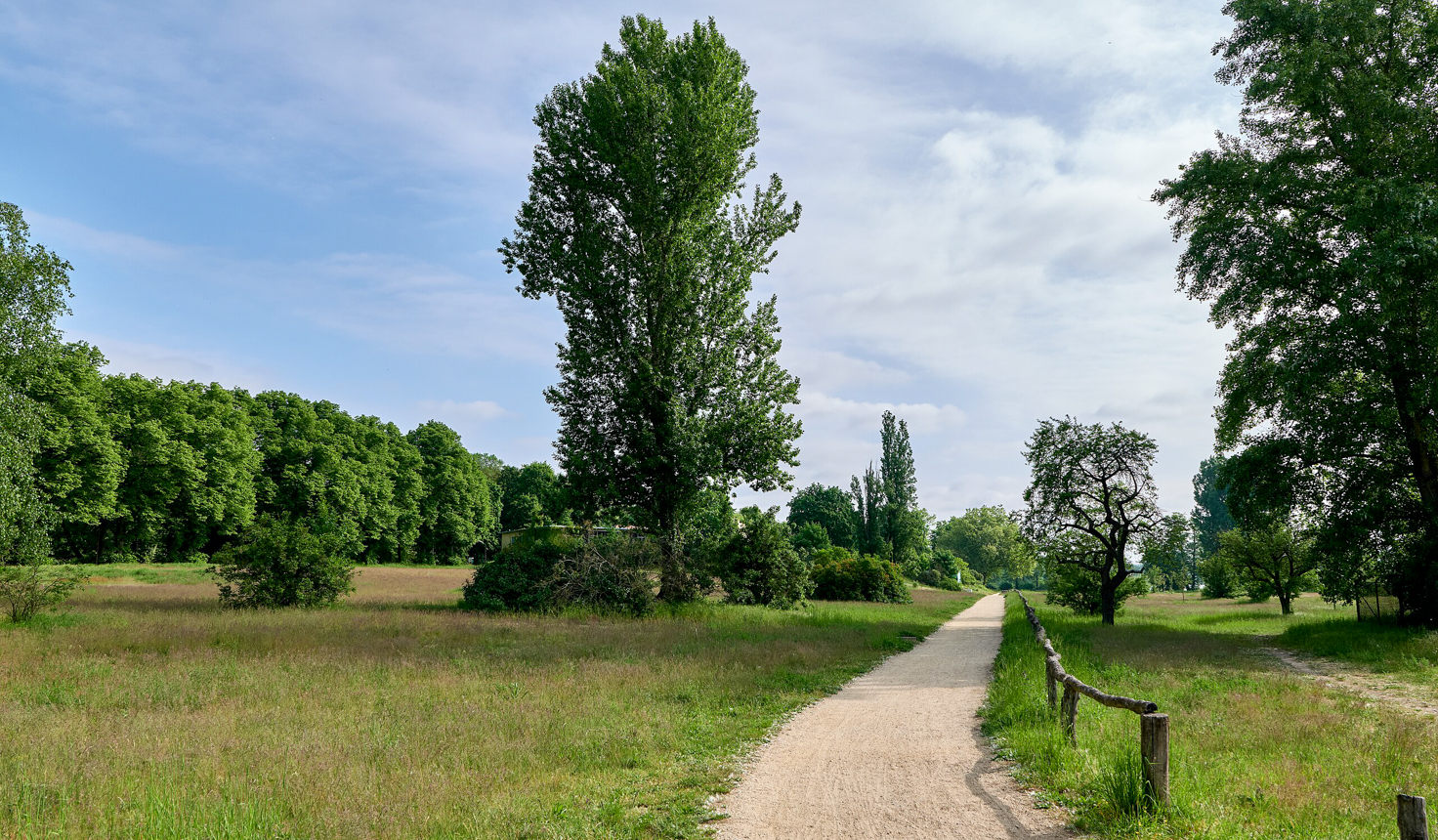 Spaziergang im Gutspark Neukladow