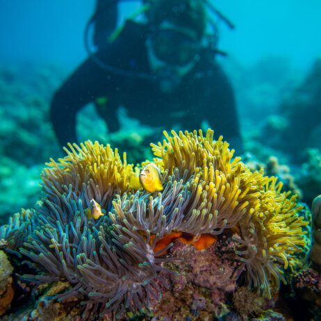 The Manta Resort I Pemba Island-22