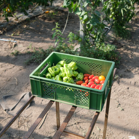 Die Girrbachs ©Ole Zimmermann-3