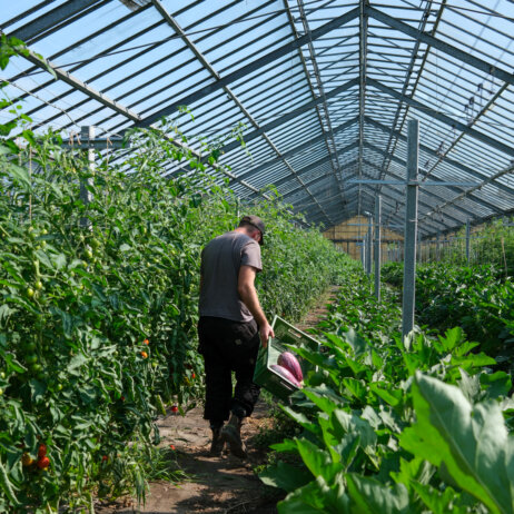 Die Girrbachs ©Ole Zimmermann-9