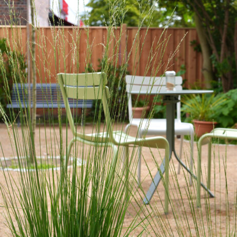 Café Baci Dahlem-8