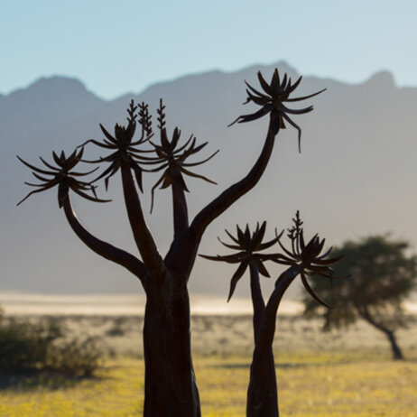 Desert Camp Sesriem I Namibia