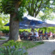 Wartmanns Café Babelsberg-2