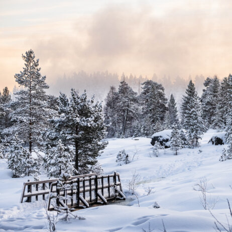 Hapag Lloyd Cruises-2