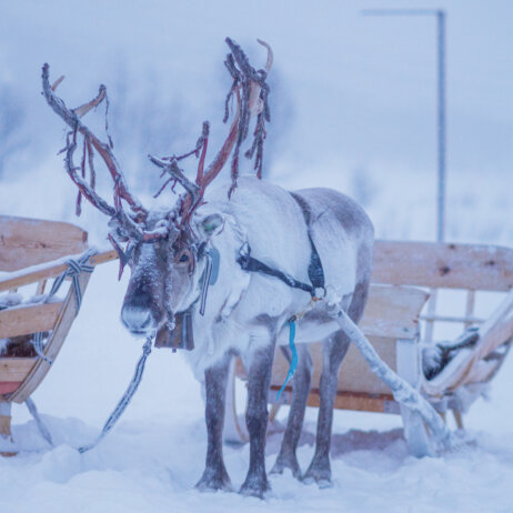 Hapag Lloyd Cruises-4