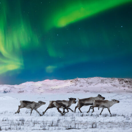 Hapag-Lloyd Cruises Expeditionen-2