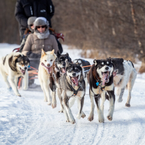 Hapag Lloyd Cruises Polarlichter Expeditionen-11