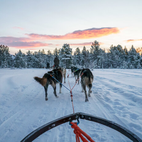 Hapag Lloyd Cruises Polarlichter Expeditionen-17