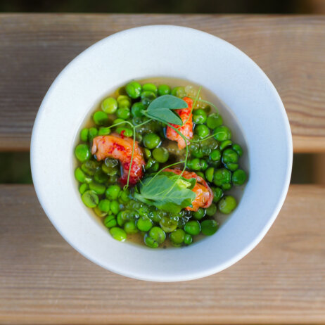 The Monk Garden Reficio-11