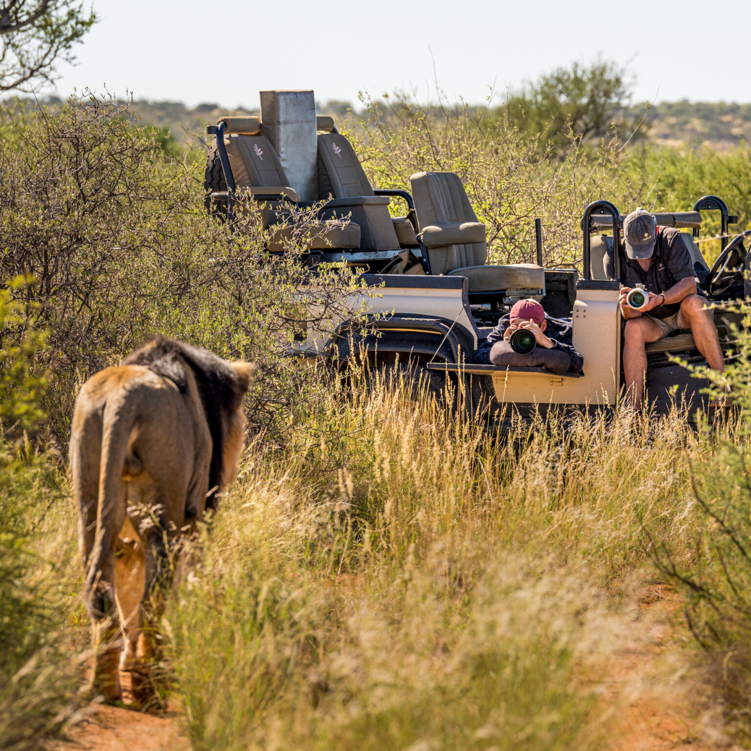 Tswalu Kalahari Reserve -5