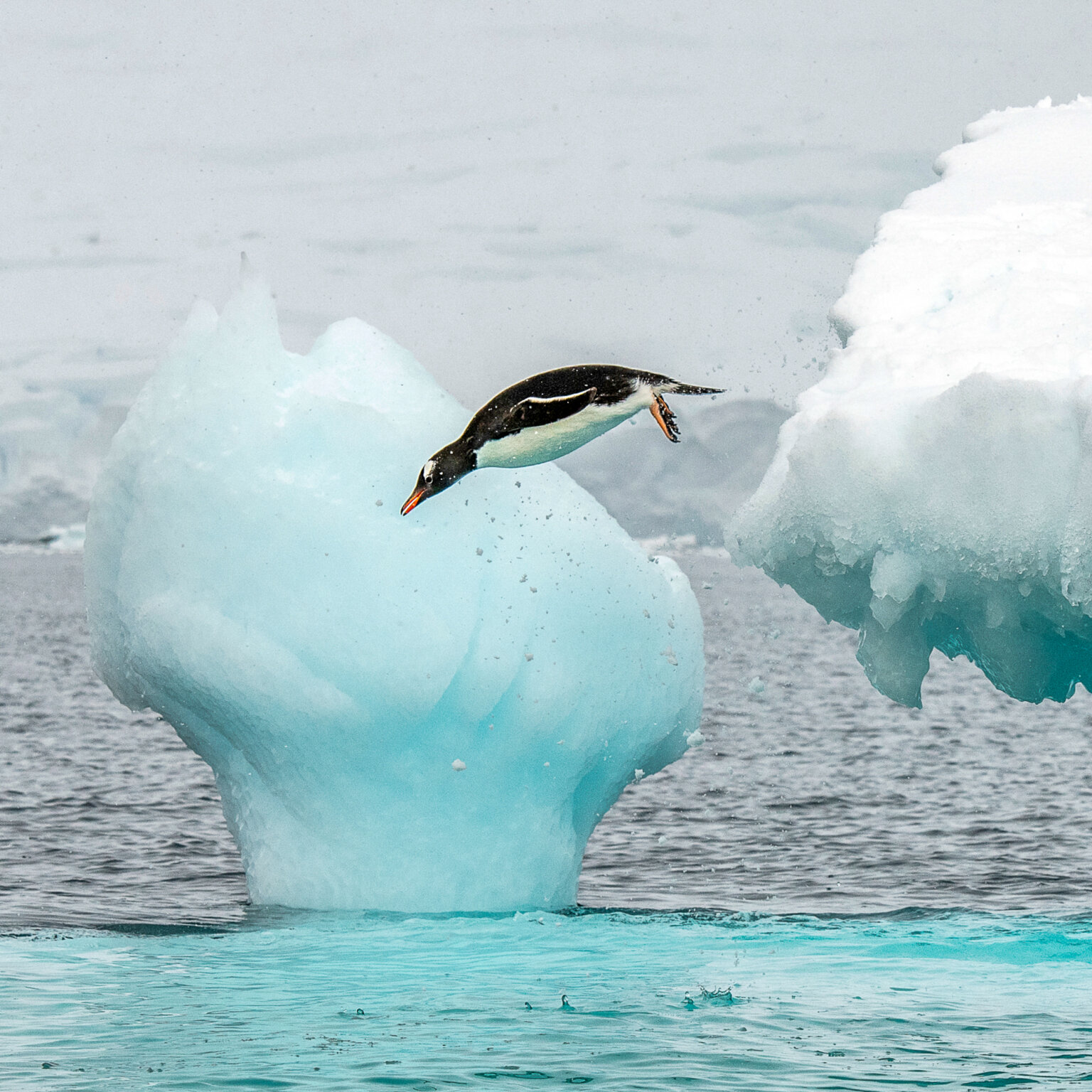 Antarctica I Mark_Edward_Harris